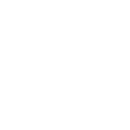 Google Ad Service in India | Tacticana
