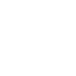 Instagram Ad Service in India | Tacticana