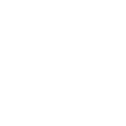 Digital Marketing Services in India | Tacticana