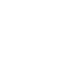 Audience and Planning