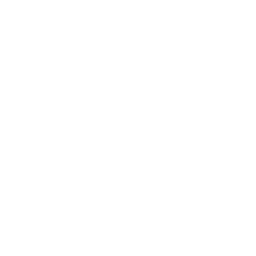 Video SEO Audit