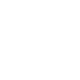 Video Optimization