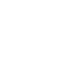Youtube Advertising