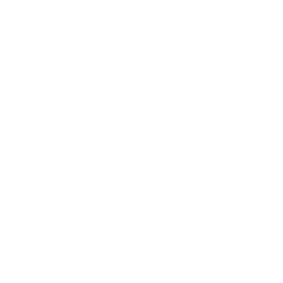 Youtube Ad Service in India | Tacticana